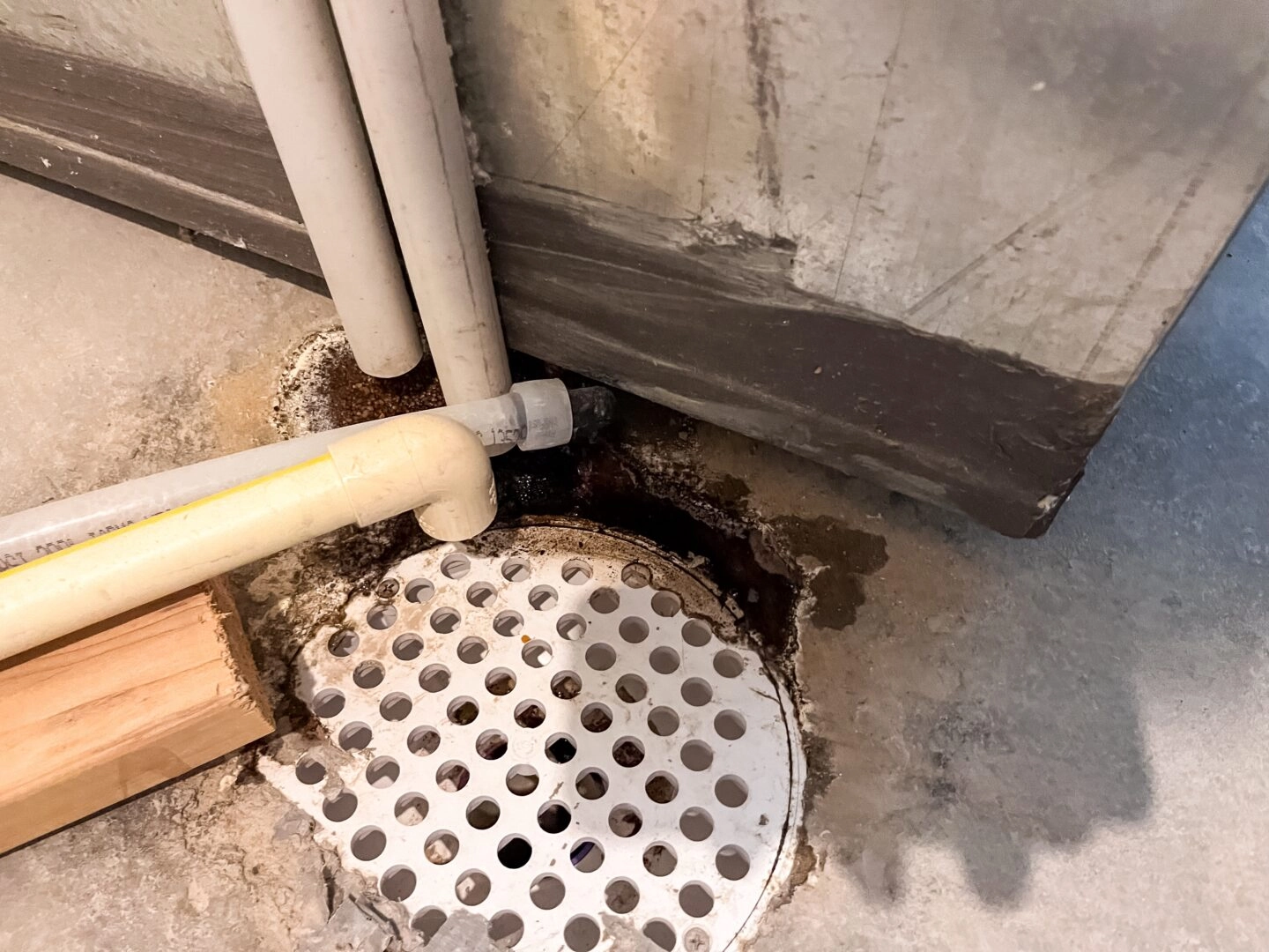 sump pump installed in a Longmont basement